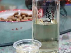 金荞酒-龙小海荆沙鸽子店(瑞安街店)