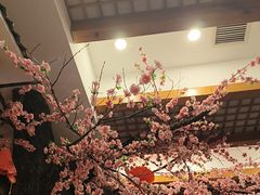 -鸥迪足道(安庆店)