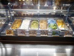 -极拉图·现制冰淇淋(大卫城店)