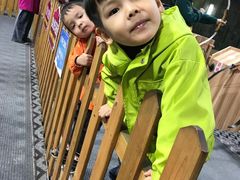 -济南方特东方神画