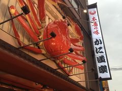 -蟹道乐(道顿堀本店)