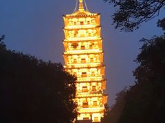 -宜兴龙背山森林公园