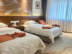 -九华山聚龙大酒店