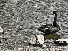 -长春市南湖公园