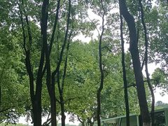 -宜兴龙背山森林公园