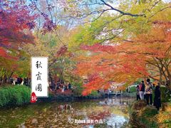 -秋霞圃