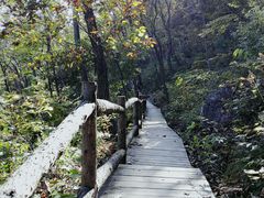 -北京上方山国家森林公园