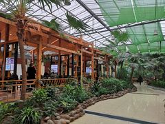 -陶然居·重庆菜(生态园店)