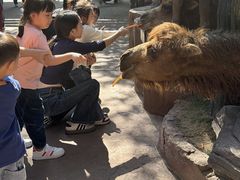 -长鹿旅游休博园