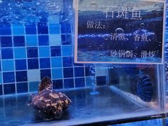 -老友王·南宁特色菜(金汇如意坊店)