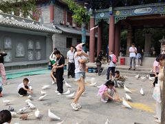 -西安大兴善寺