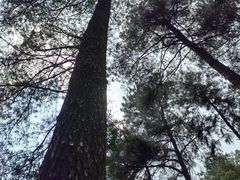 -綦江古剑山