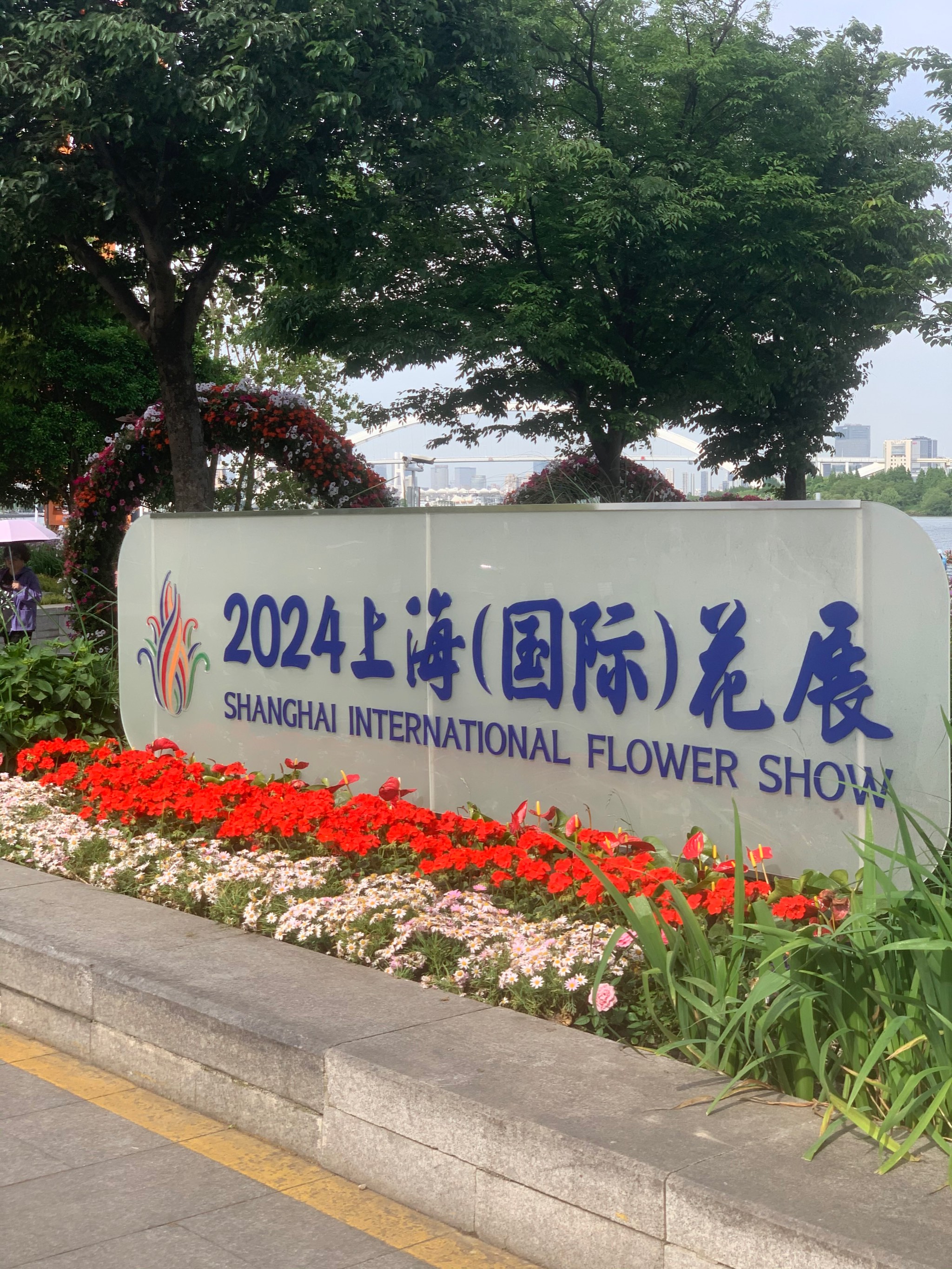 上海国际花展图片