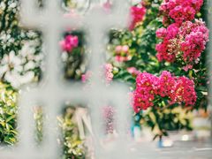 -杭州城北体育公园