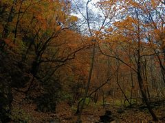 -玉渡山自然风景区