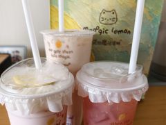 -猫的魔法密林(衣裳街店)