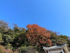 -广州市石门国家森林公园