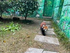 -常州淹城野生动物世界