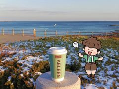 -海合安青岛极地海洋公园