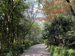 -杭州半山国家森林公园