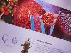 -MUSEO COFFEE咖啡博物馆