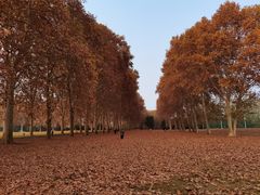 -河南省黄河迎宾馆