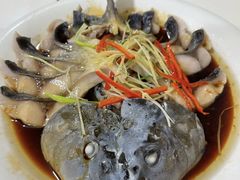 -煲来饱去冷水鱼