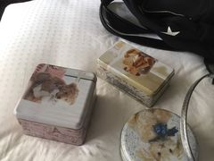 -珍妮曲奇聪明小熊(尖沙咀店)