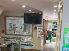 -爱侣·安琦尔宠物医院·中兽医针灸·心内科·狂犬免疫点(宝山区院)