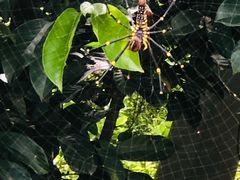 -西涌国际滨海旅游区