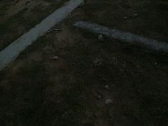 -木兰云雾山