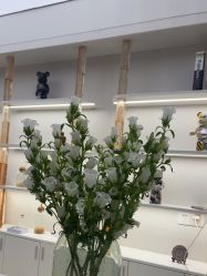 -彼家美创·量肤定制修护管理