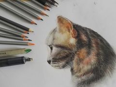 -津艺画室