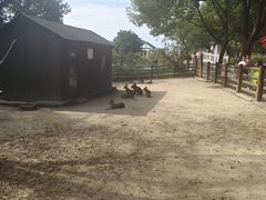 -苏州太湖西山岛开心农场