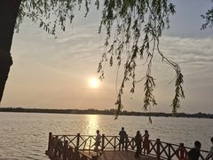 -丁香湖公园