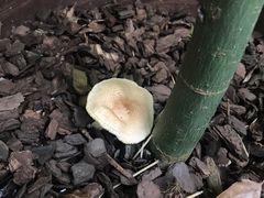 -驿舍·民國老营房院子私房菜(科学会堂店)