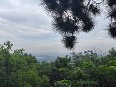 -香山公园
