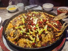 -老板恋上鱼(恒隆广场店)