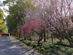 -上海海湾国家森林公园