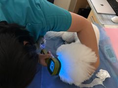 -美联众合动物医院·24h京西诊疗中心