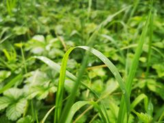 -黑龙江省森林植物园