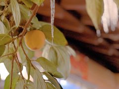 -后海16号·北京私房菜