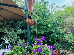 -看见远方·莫干遥远的山民宿