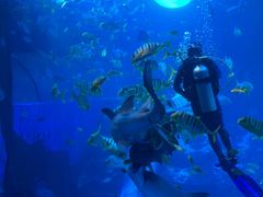 -太平洋海底世界