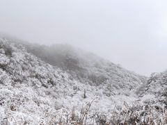 -秦岭风景区