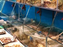 -红灯笼龙凤饭店(宁波老字号店)