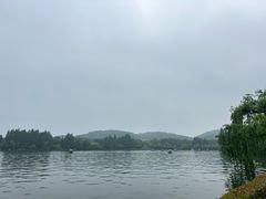-浙江西子宾馆·牡丹厅