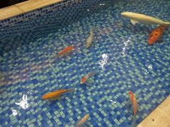 大堂-盆满钵满·国家非遗传承(云台店)