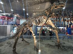 -国家自然博物馆