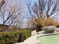 -大连金石滩绿发温泉假日酒店